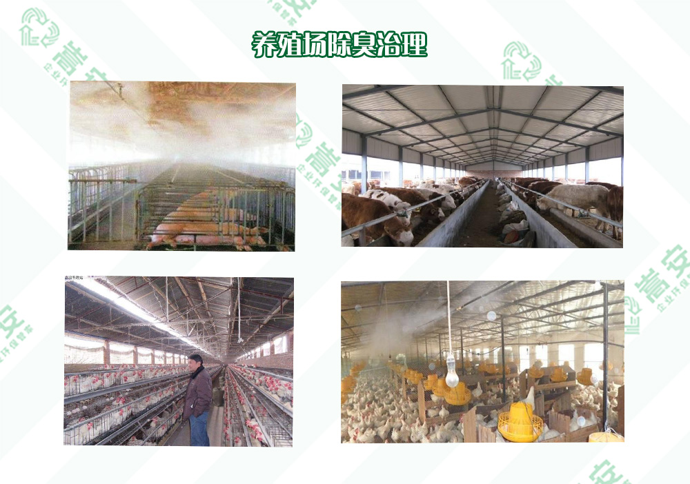 ���ϳ��􄩏S�������Ч��Q�B(y��ng)ֳ����ζ���}�����I(y��)ָ�ρ���