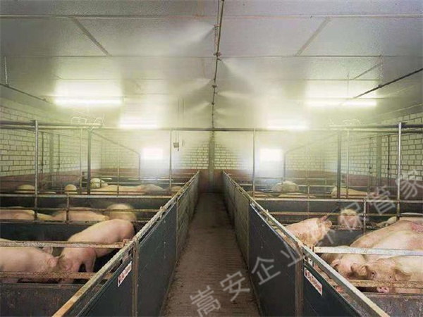 �B(y��ng)ֳ����γ������Խ������󻼲��L(f��ng)�U���������Ч�����e