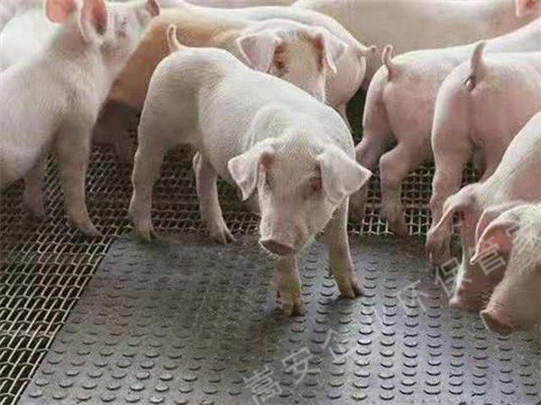 ̫ƽ�B(y��ng)ֳ������Ѭ������(zh��)�����T֪ͨ��������